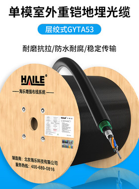 海乐（Haile）8芯重铠地埋光缆 层绞式GYTA53-8B1.3单模室外铠装G652D线芯光纤 HT220-8S  多买整条发货