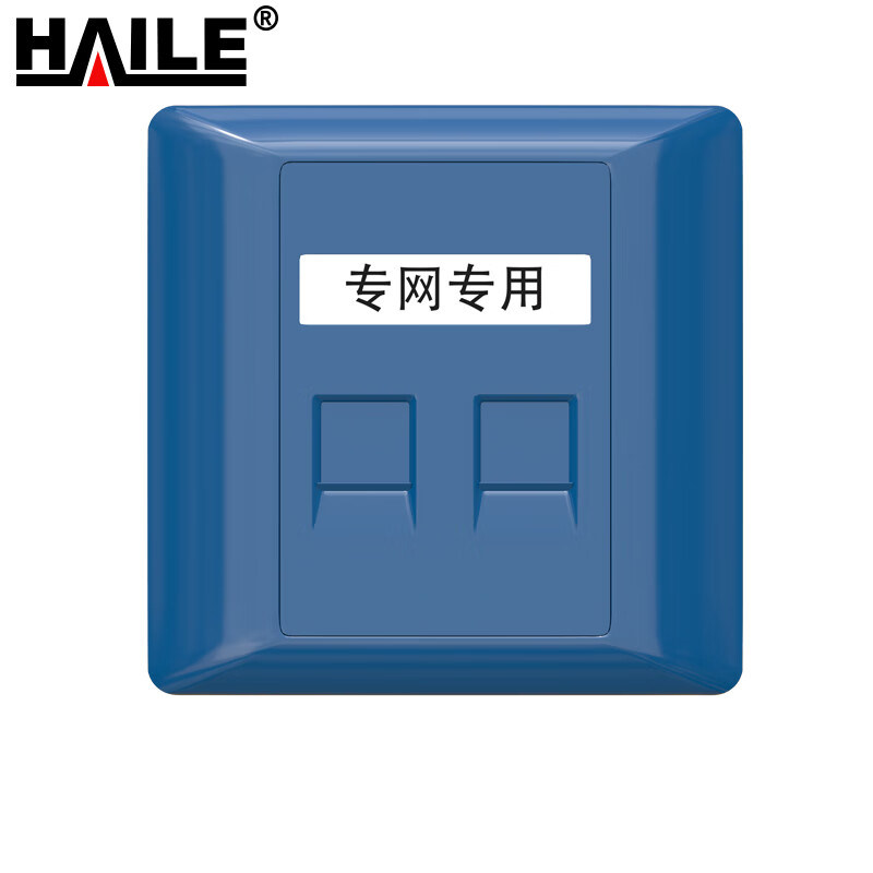 HAILE 专网双口网络面板 HT-8602F 1个