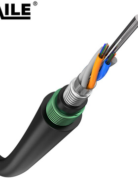 HAILE光缆 GYTA53-48B1 1米