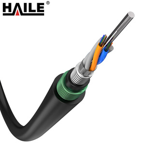 HAILE光缆 GYTA53-48B1 1米