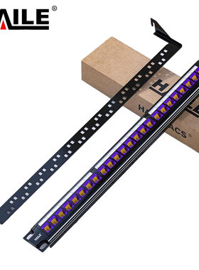 HAILE 六类24口配线架直通免打紫色 HT-ZT24G 1套