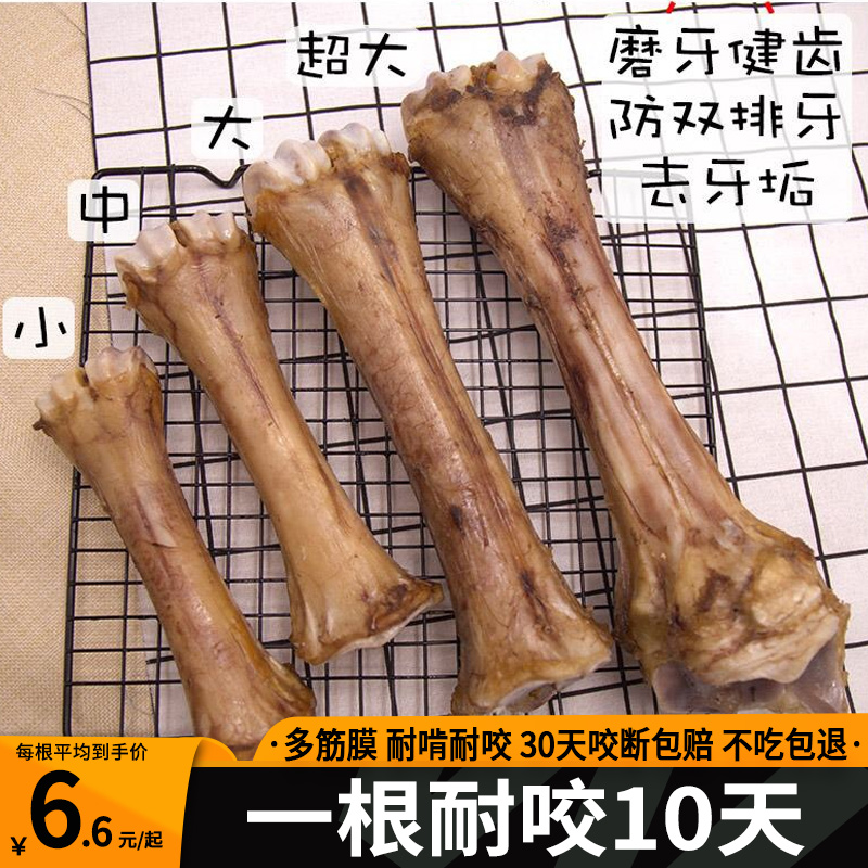 磨牙棒狗耐咬洁齿骨头宠物零食