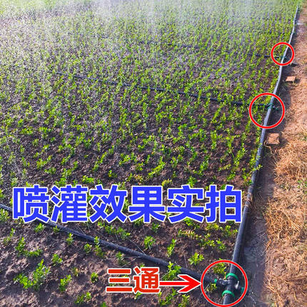 滴灌带农用微喷喷水雾化灌溉微喷喷灌滴灌设备自动浇水器水管厂家