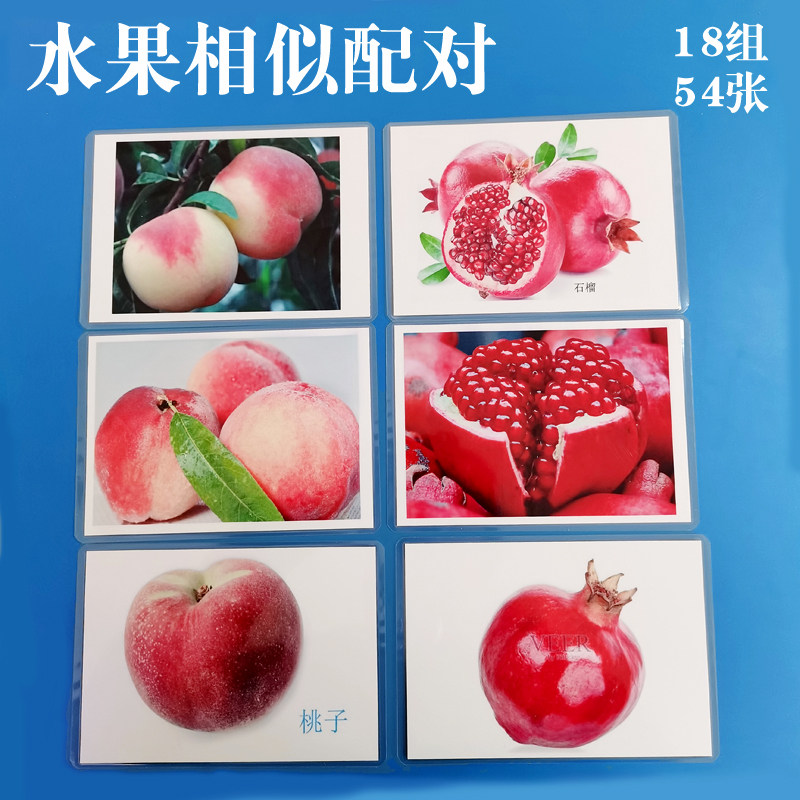 ABA教学实操卡片水果相似配对
