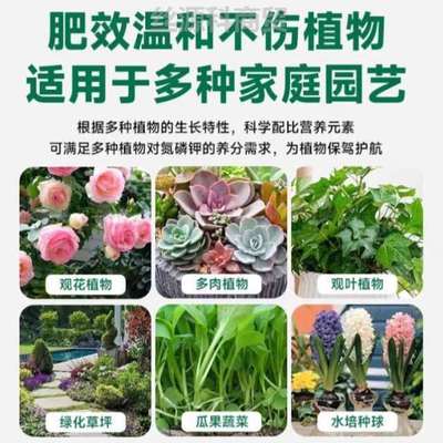 生养通用型庭院花草花卉肥料花肥花喷洒绿萝幸福树促植物营养液