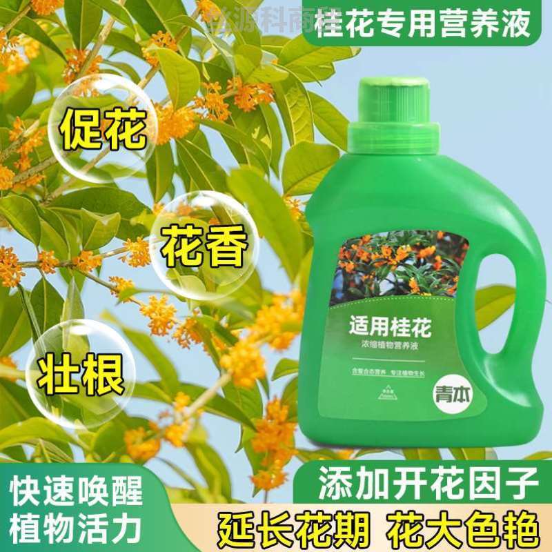 生根掉专用肥培养叶烂盆景治发黄种植喷洒植物叶子肥水根绿萝种花 鲜花速递/花卉仿真/绿植园艺 介质/营养土 原图主图