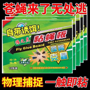 强力粘蝇板粘蝇纸苍蝇贴灭蚊杀手灭蝇子家用捕捉神器强力捕捉饭店