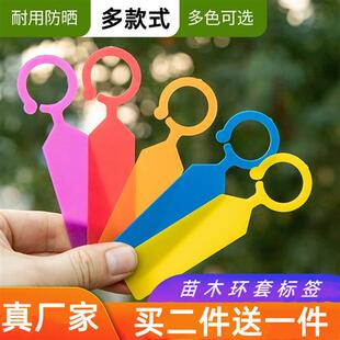 园艺标签防水塑料环套环扣标签葡萄记号卡授粉标记牌苗木花卉标签