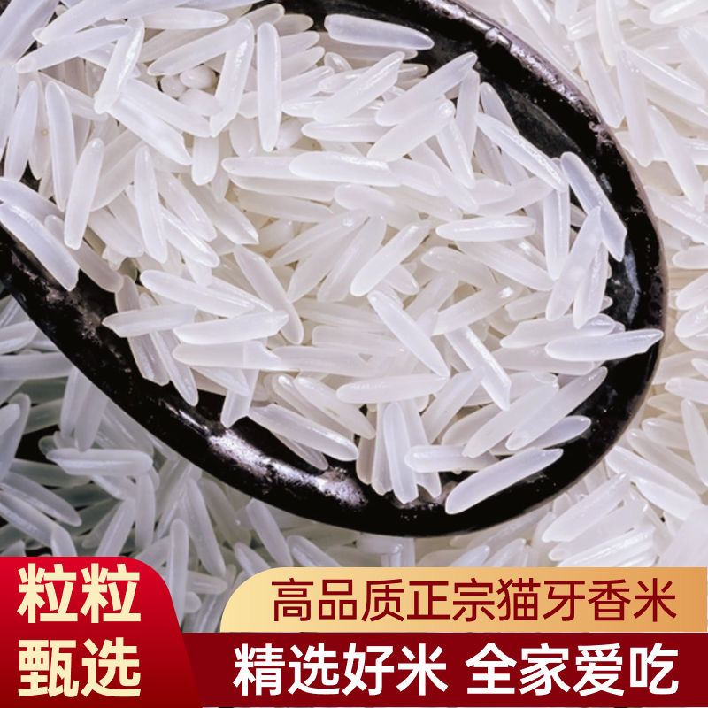 【特价】猫牙米10斤当年新大米猫牙米优选0添加长粒鲜现磨现发货