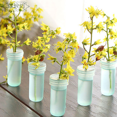 小型单支玫瑰花朵储水浅绿色洋兰