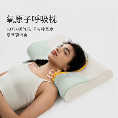 艾美家可高温水洗枕头枕芯单双人