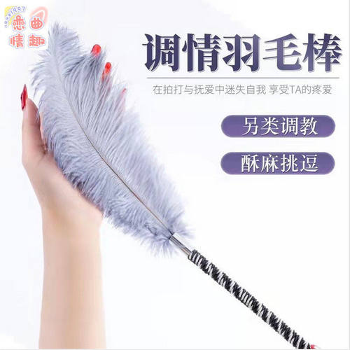 成人sm情趣玩具用品夫妻共用调情情侣调教女朋友双人互动羽毛鞭子
