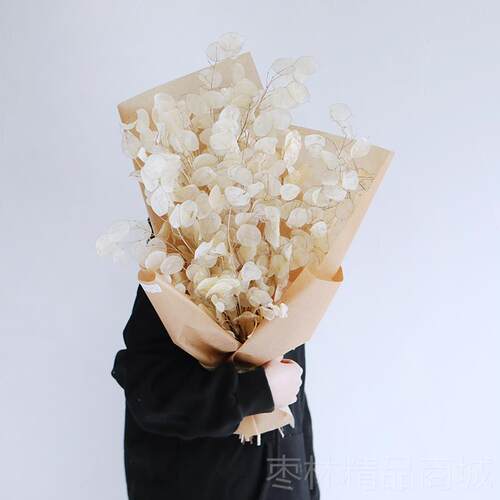 正品门天然迁开银扇叶花束插花进口干花果ins家居店软装配饰业乔