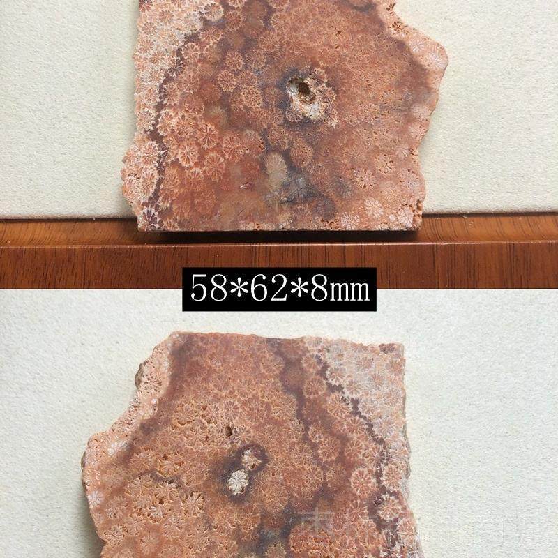 正品印尼原矿天然珊瑚原石玉饰矿料摆件菊把花玉石手件装饰品片料