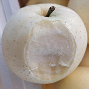 奶油王林苹果新鲜5斤白苹果整箱黄苹果鲜果孕妇营养水果青森王林