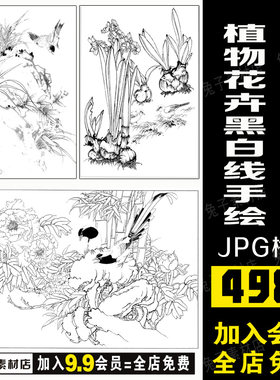 B53高清简约花朵植物花卉黑白线描手绘装饰图线稿高清JPG素材模板
