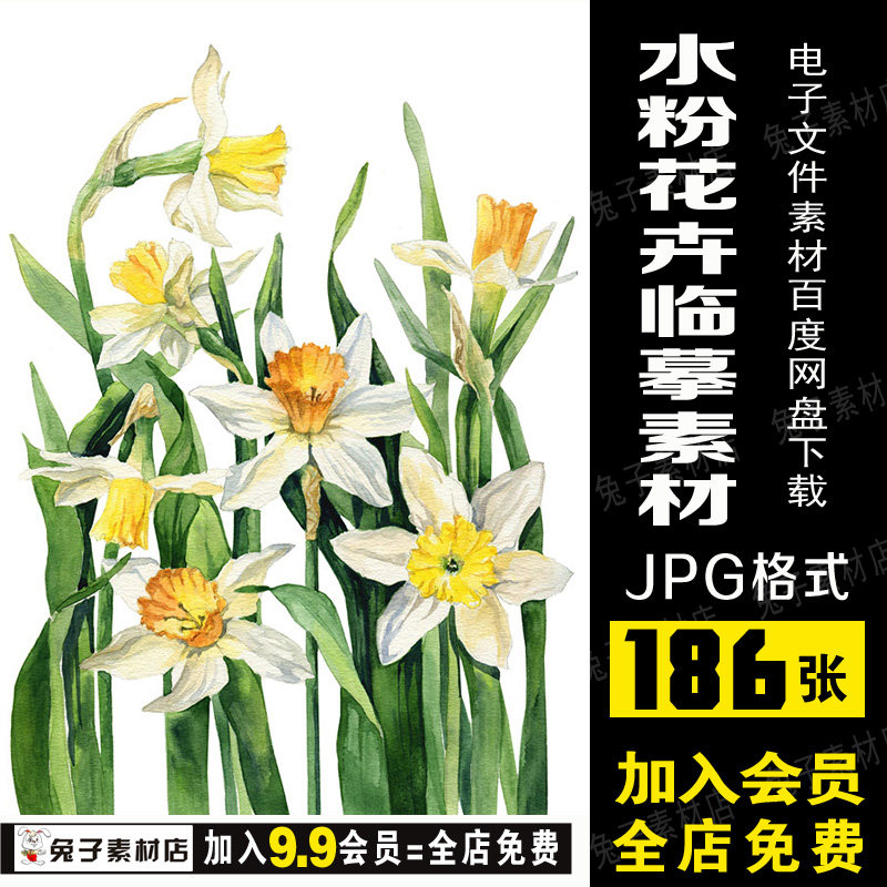 b96水粉临摹图花卉植物静物水粉水彩电子版美术彩铅临摹图片素材