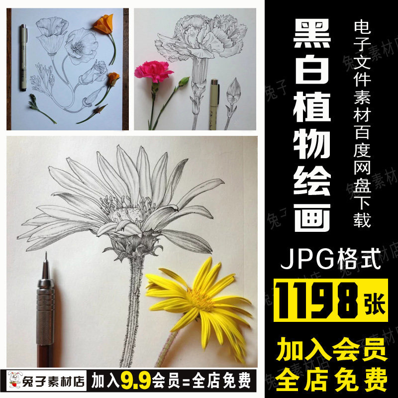 b73美术临摹卡素材手绘植物花卉花朵钢笔速写黑白素描临摹素材