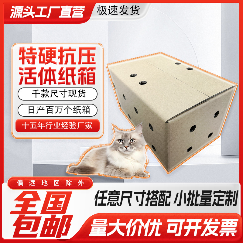 喵趣堂五层特硬自由定制