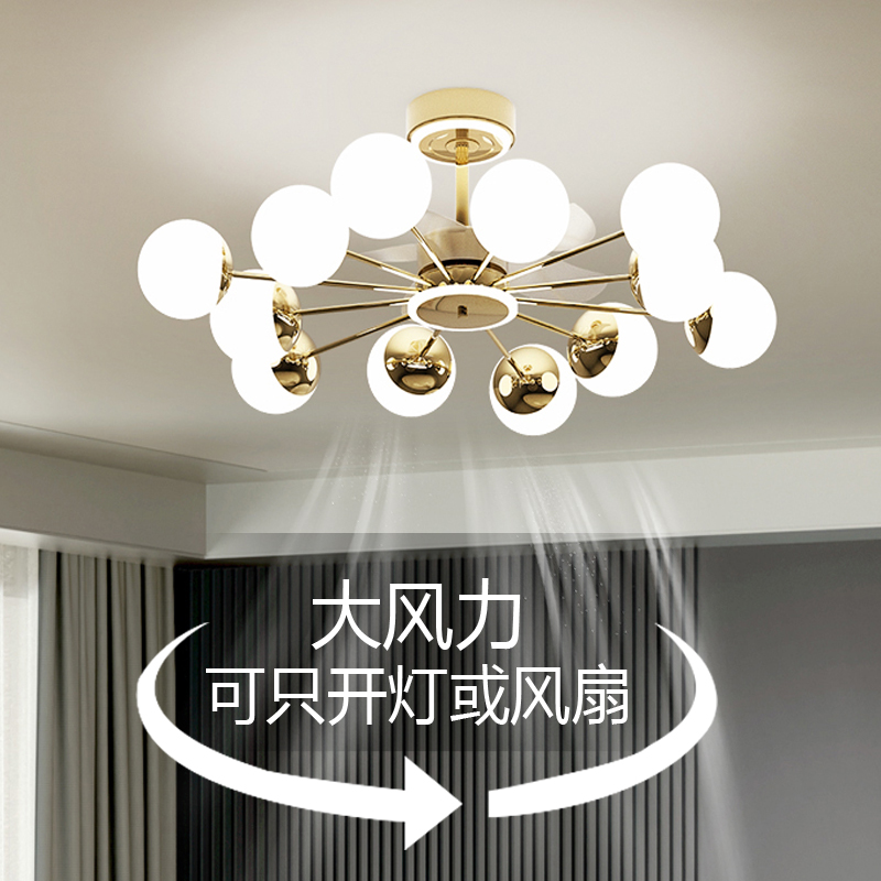 客厅风扇灯2025新款餐厅吊扇灯家用一体灯卧室高级感大风力铜芯