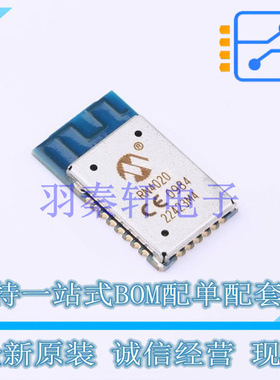 蓝牙模块 RN4020-V/RMBEC133 SMD MIC 全新原装进口