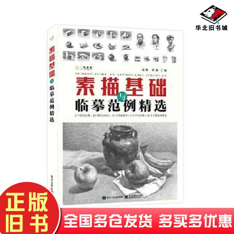 正版旧书素描基础与临摹范例精选成辉电子工业出版社9787121424625