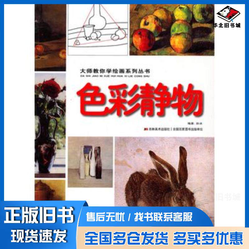 正版旧书色彩静物大师教你学绘画系列丛书孙冰编著吉林美术出版社9787538644036