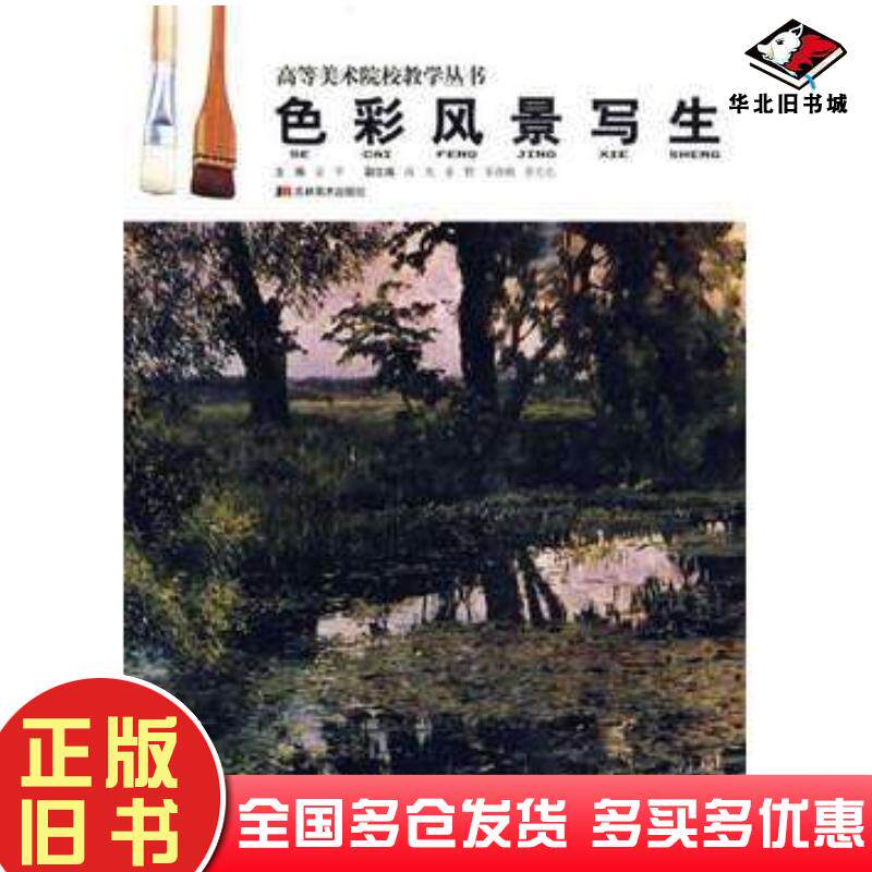 正版旧书色彩风景写生——高等美术院校教学丛书金平编著吉林美术出版社9787538632842