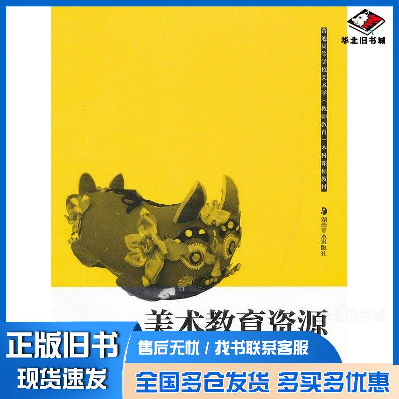 正版旧书美术教育资源洪琪唐杰编著湖南美术出版社9787535637116