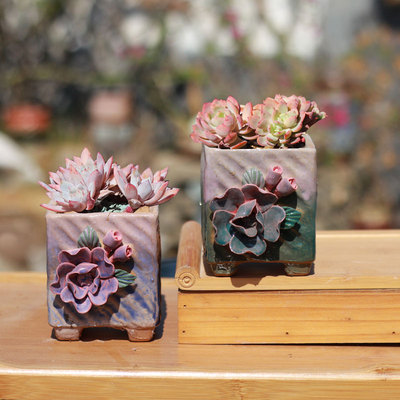 麦饭石多肉花盆手工捏花新品促销