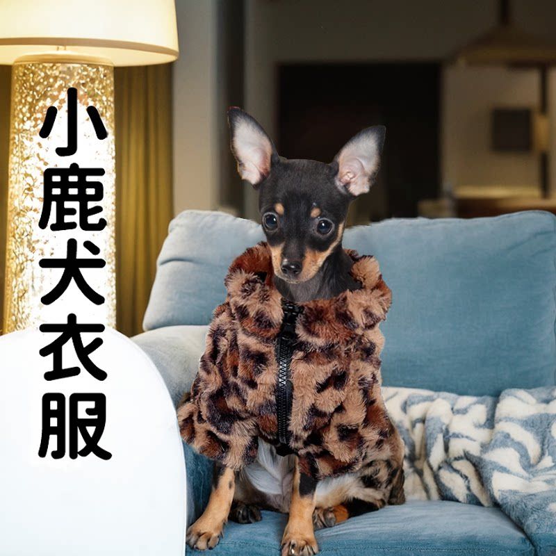 小鹿犬专用冬衣服小狗狗吉娃娃冬季冬天款保暖两脚棉服棉袄小体犬
