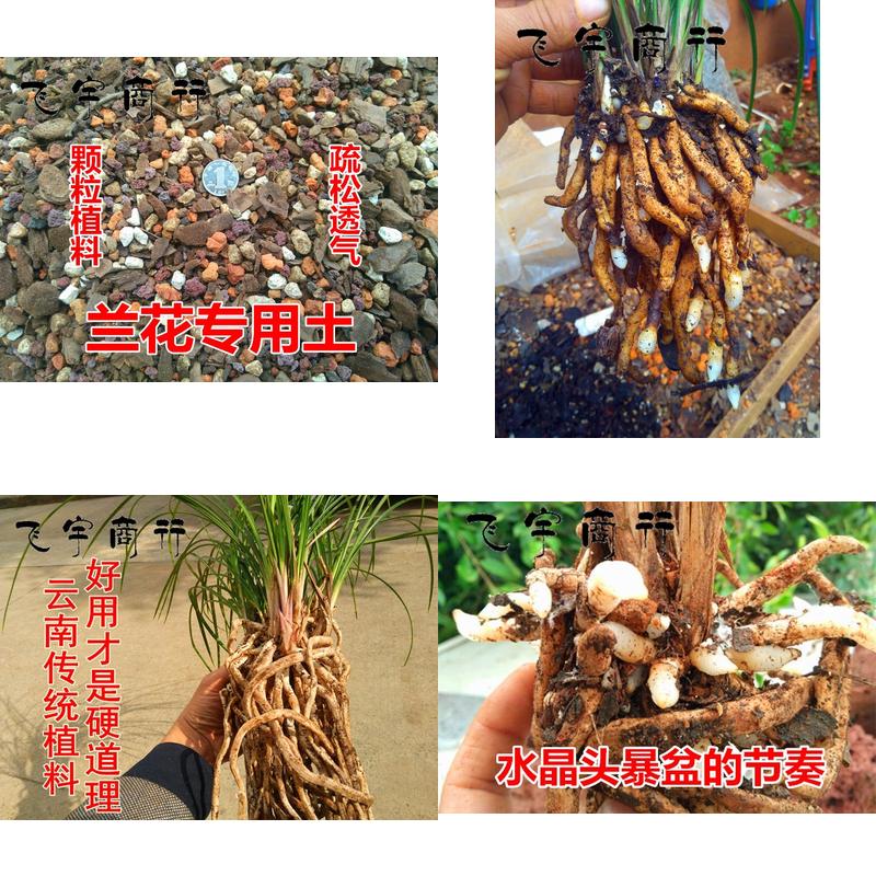 兰花土专用植料兰花君植金石蛇木火山石红土子兰石斛营养土松树皮|ruв категории доставка цветов/цветок моделирования/растения садоводства, садовых принадлежностей, домашнее садоводство удобрений/питательной почвы/питательный раствор - от Buy2taobao.com для оказания профессиональной услуги покупки агента Taobao