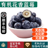 有机花香蓝莓 L25脆甜多汁孕妇宝宝健康无农残有机水果
