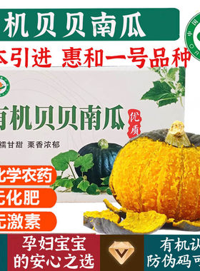 有机产品无激素农产品贝贝南瓜
