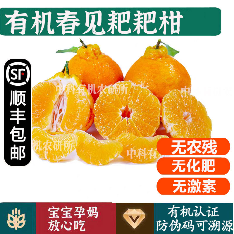 有机耙耙柑春见【顺丰到家】四川高山柑橘孕妇宝宝健康无农残水果