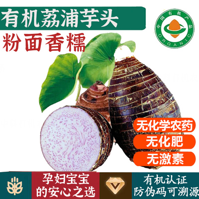 有机认证无机素荔浦芋头