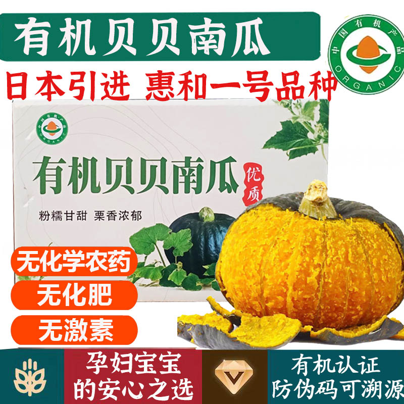 有机贝贝南瓜【顺丰】惠和一号粉面沙漠种植健身食疗健康无农残