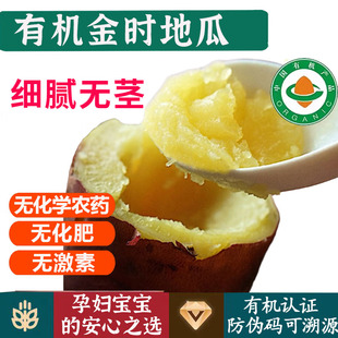 有机金时地瓜【送货到家】红薯粉面香甜宝宝辅食 健康无农残