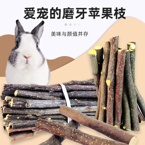 荷兰猪兔子磨牙苹果枝牛宠