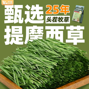提摩西草烘干草牛宠提草兔子粮食荷兰猪草料进口加提美提北提兔草