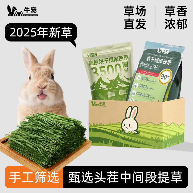 荷兰猪兔子提摩西草牛宠南提北提