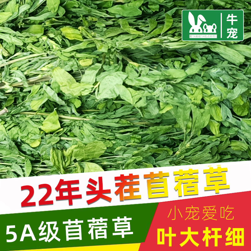 22年兔草苜蓿兔子草料苜蓿草干草荷兰猪粮食饲料苜宿草紫花苜蓿草 22年兔草苜蓿兔子草料苜蓿草干草荷兰猪粮食饲料苜宿草紫花苜蓿草