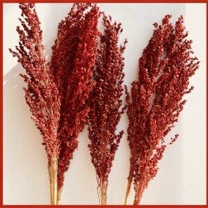 天然高粱穗干花永生花麦穗客厅装饰仿真拍摄道具店铺橱窗展示花束