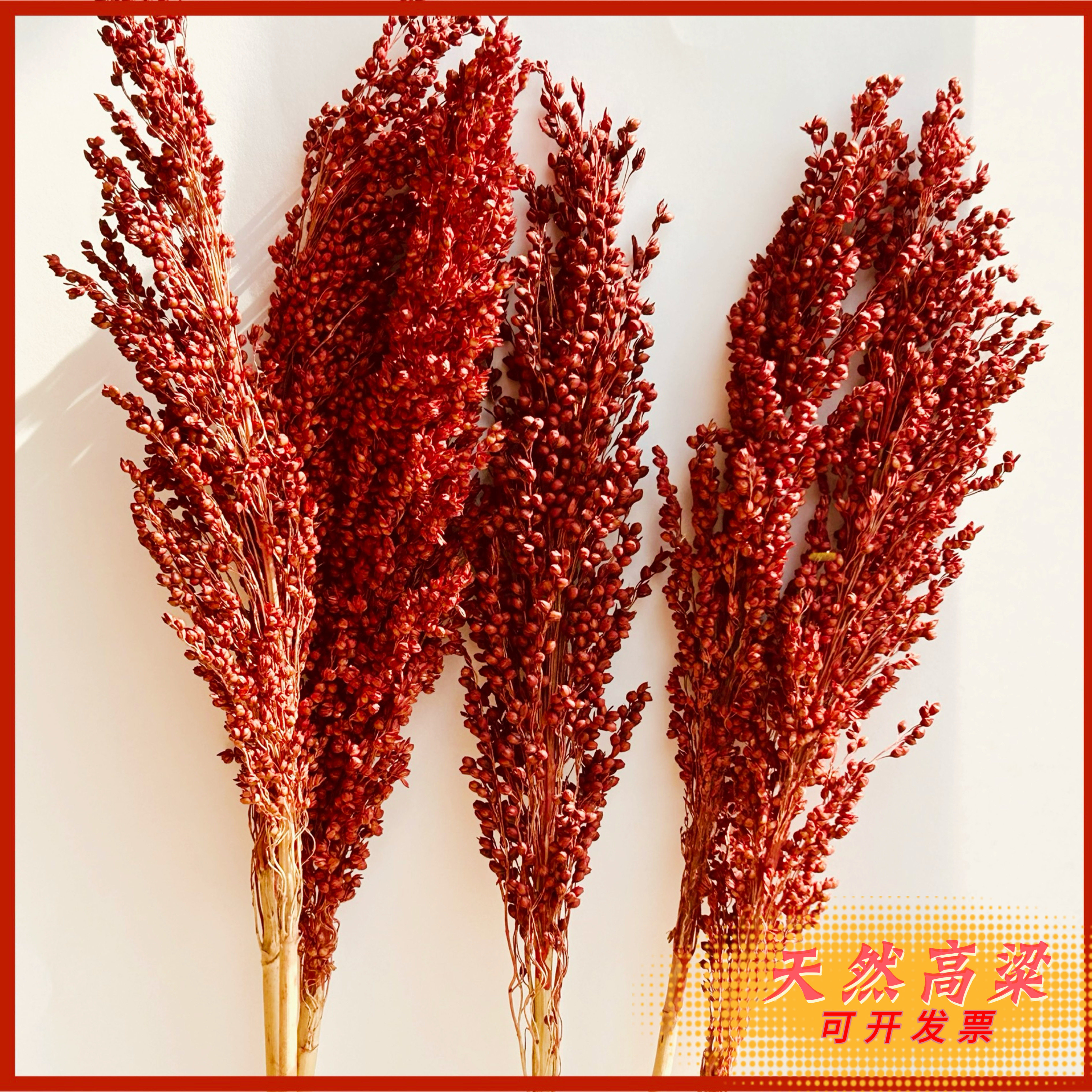 天然装饰拍摄道具高粱穗干花