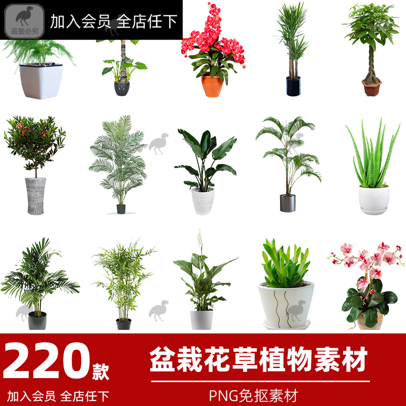 D盆栽盆景景观绿植花草植物装饰摆件图片PNG免抠元素PS平面素材