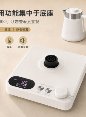 110v220v欧美跨境台式电热水壶110/220V双电压精准控温恒温电热茶