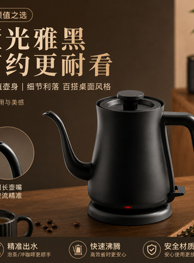 110v220v跨境电热水壶110V304不锈钢细嘴鹅颈壶小容量温控手冲壶