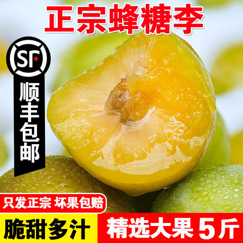 贵州六马蜂糖李子正宗特大脆甜5斤新鲜脱骨青当应季整箱孕妇水果