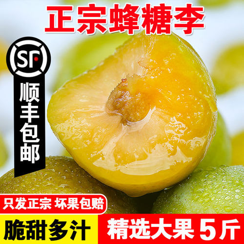贵州六马蜂糖李子5斤顺丰包邮