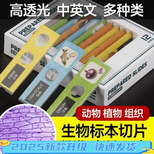 显微镜生物教学实验配件大礼包动植物细胞标本切片载玻片标本永久
